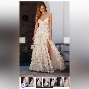 NWT V. Chapman Carmen Dress in Carmel Valley Rose size 12